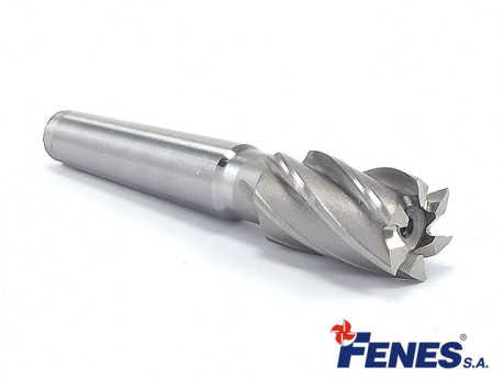 6-Flute End Mill for General Machining with a MT2 Morse Taper Shank, Short DIN845-B K-N, HSS - 21MM - FENES