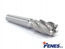 6-Flute End Mill for General Machining with a MT2 Morse Taper Shank, Short DIN845-B K-N, HSS - 23MM - FENES